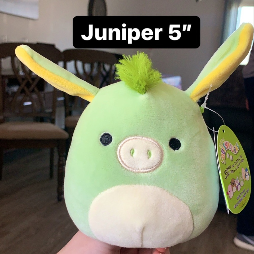 Juniper 5” Squishmallow